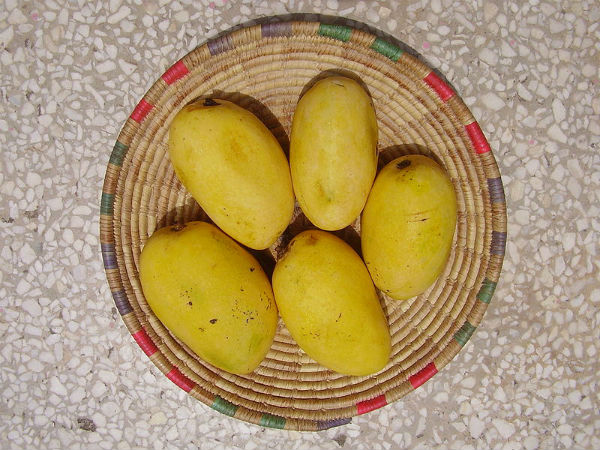 ಚೌನ್ಸಾ-ಉತ್ತರ ಭಾರತ