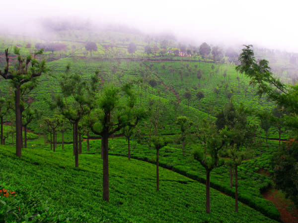 ಕೂನೂರ್