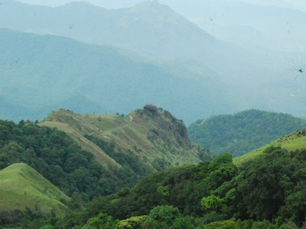 ಎತ್ತಿನಾ ಭುಜ
