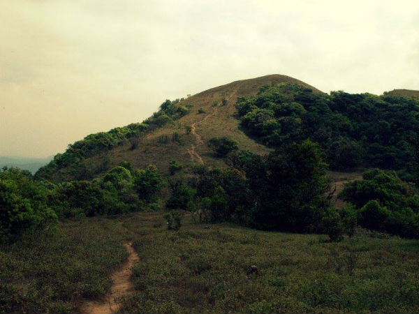 ಮಾರ್ಗದರ್ಶಕರನ್ನು ಕರೆದೊಯ್ಯಿರಿ