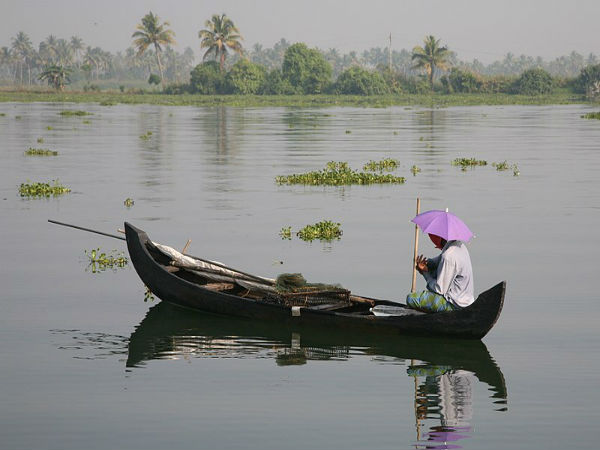 ಬ್ಯಾಕ್ ವಾಟರ್