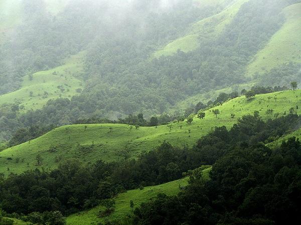 ಕುದುರೆಮುಖ ರಾಷ್ಟ್ರೀಯ ಉದ್ಯಾನ
