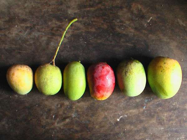 ಲ್ಯಾಂಗ್ರಾ