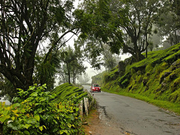 ಹೋಮ್ ಸ್ಟೇ ಲಭ್ಯವಿದೆ