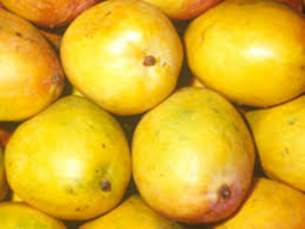 ನೀಲಂ ಮಾವು