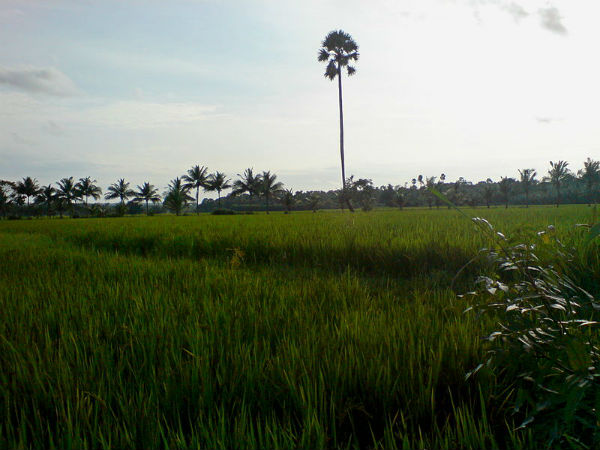 ಪ್ರೇಕ್ಷಣೀಯ ಸ್ಥಳಗಳು
