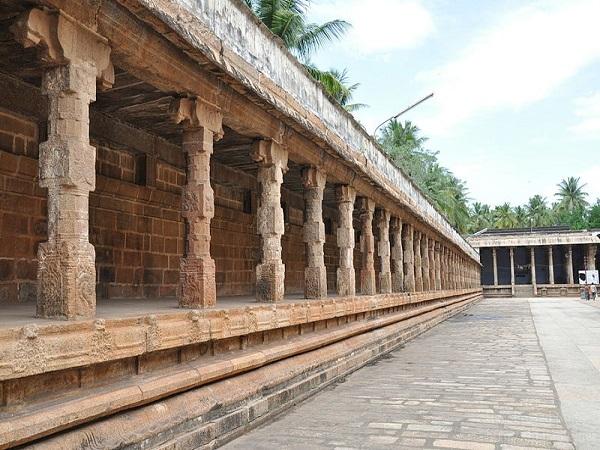 ಆನೆಯನ್ನು ಕೊಂದ ಜೇಡ