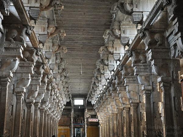 ಜಂಬುಕೇಶ್ವರ ಹೆಸರು ಬಂದಿದ್ದು ಹೇಗೆ?