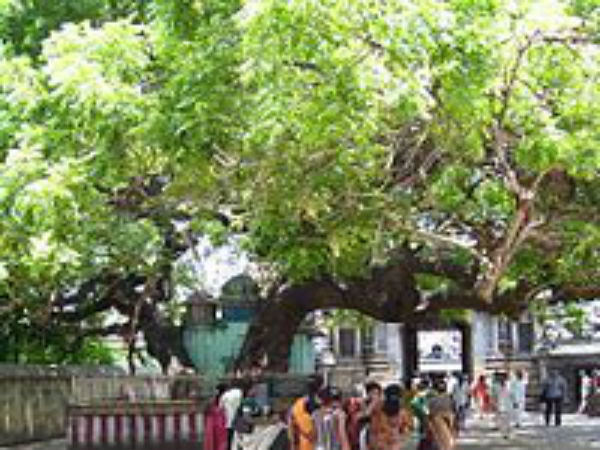 ಕುಜ ದೋಷ ನಿವಾರಣೆಯಾಗುತ್ತದೆ
