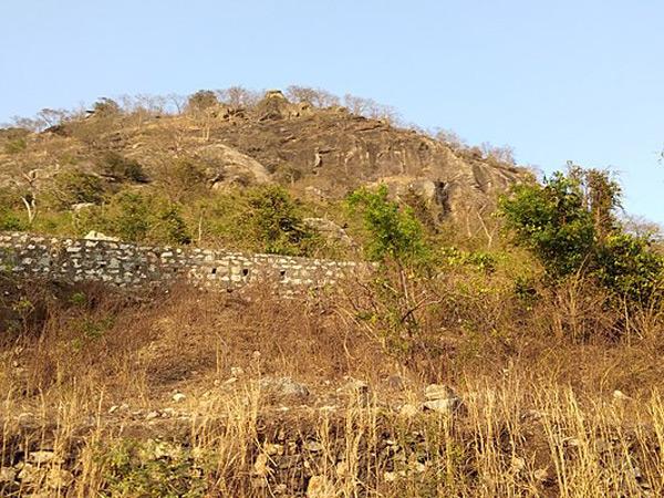 10.ಪರ್ವತ ಶಿಖರ
