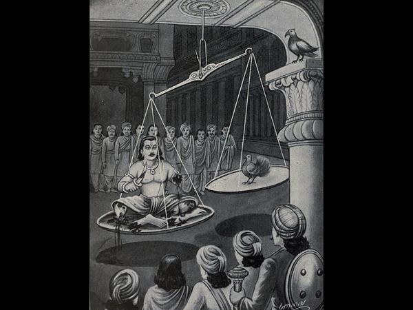 11.ಶರೀರದ ಮಾಂಸ