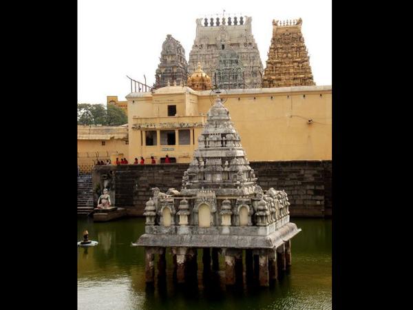4.ಅವುಗಳ ಪ್ರಾಮುಖ್ಯತೆಯನ್ನು ತಿಳಿದುಕೊಳ್ಳಿ