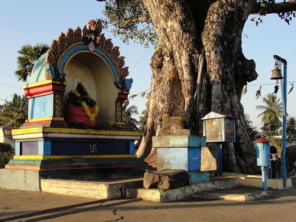 ಮಂಗಳ ಸೂತ್ರ ಅರ್ಪಿಸಬೇಕು