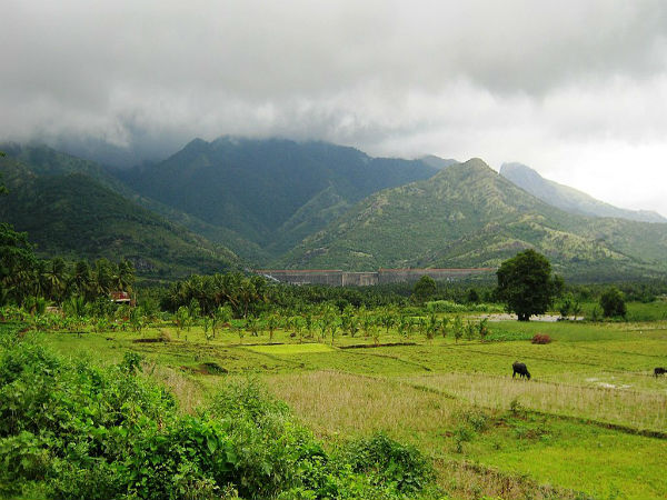 8. ಅಚಾಂಕೋವಿಲ್