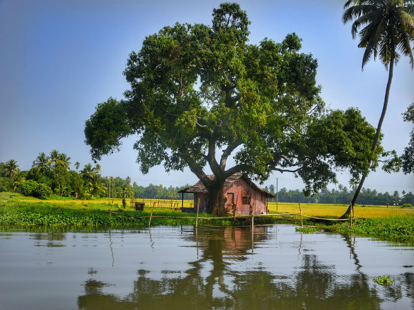 ಜೀವವೈವಿಧ್ಯ ವಸ್ತುಸಂಗ್ರಹಾಲಯ