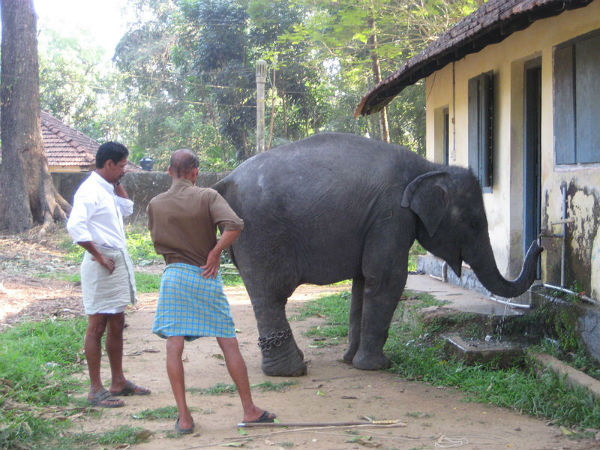 6. ನೀವು ಉಳಿದು ಕೊಳ್ಳುವ ಸ್ಥಳ