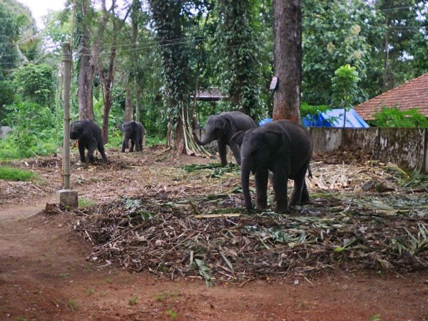 3. ನಿರಂತರ ಮೋಜು