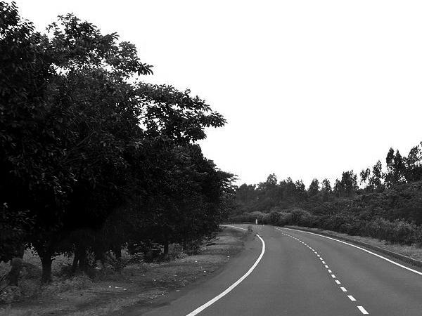 ಬ್ಲೂ ಕ್ರಾಸ್ ರೋಡ್ ಚೆನ್ನೈ