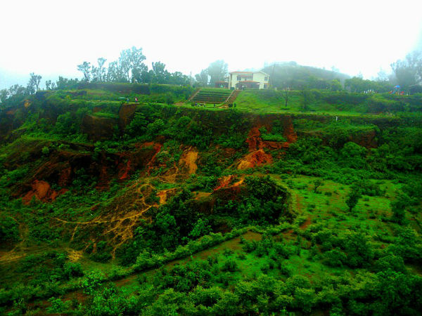 ರೋಸ್ ಗಾರ್ಡನ್