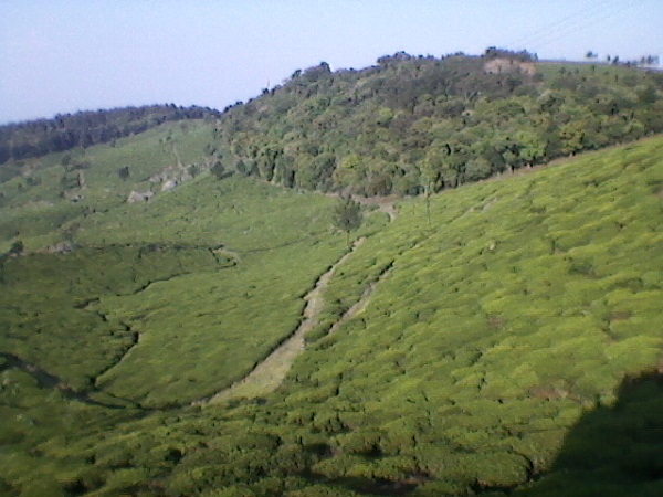 2. ಸಾಹಸಪ್ರಿಯರಿಗೆ ಸೂಕ್ತ