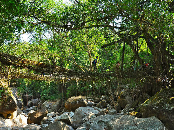 ಮೇಘಾಲಯ- ಕಿಡ್