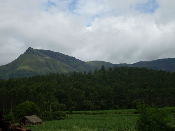 ಮುಲ್ಲಯನಗಿರಿ