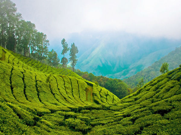 ಟಾಪ್ ಸ್ಟೇಷನ್ಗೆ ಭೇಟಿ ನೀಡಲು ಉತ್ತಮ ಸಮಯ