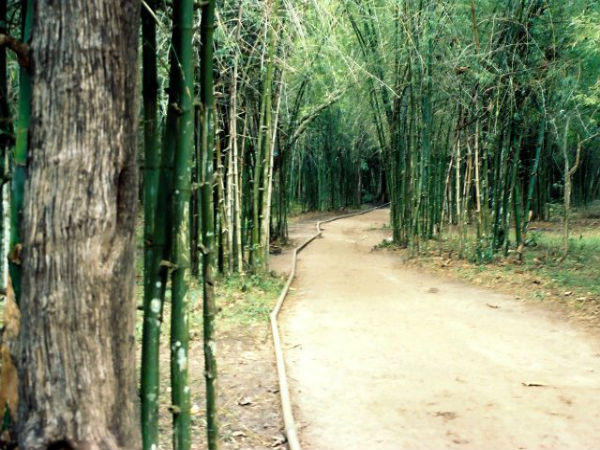 ನಿಸರ್ಗಧಾಮ