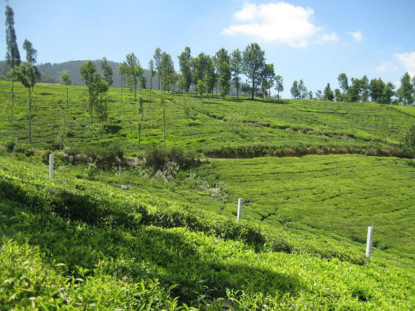 ಪ್ರವಾಸಿಗರಿಗೆ ದೊಡ್ಡ ಗಿಫ್ಟ್