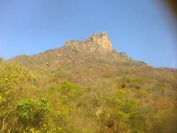 ಪರ್ವತಾ ಮಲೈ