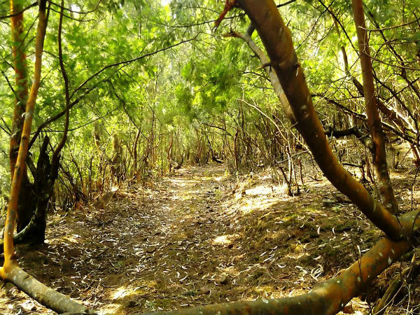 5. ಇಲ್ಲಿಗೆ ತಲುಪುವುದು ಹೇಗೆ ?