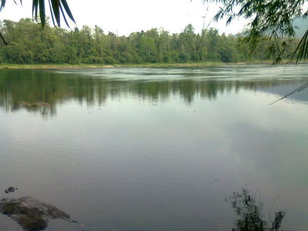 4. ಆನೆಗೆ ಸ್ನಾನ ಮಾಡಿಸಬಹುದು