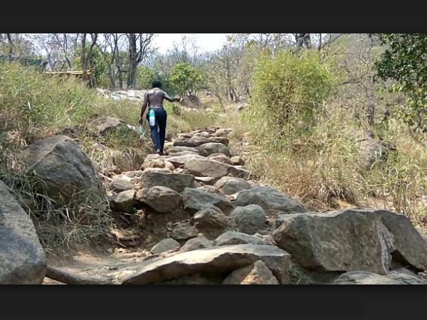 ಯಾವಾಗ ಭೇಟಿ ನೀಡುವುದು ಒಳಿತು