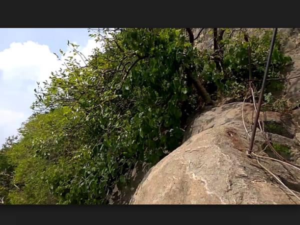 ಹಾಫ್ ಹಾಲ್