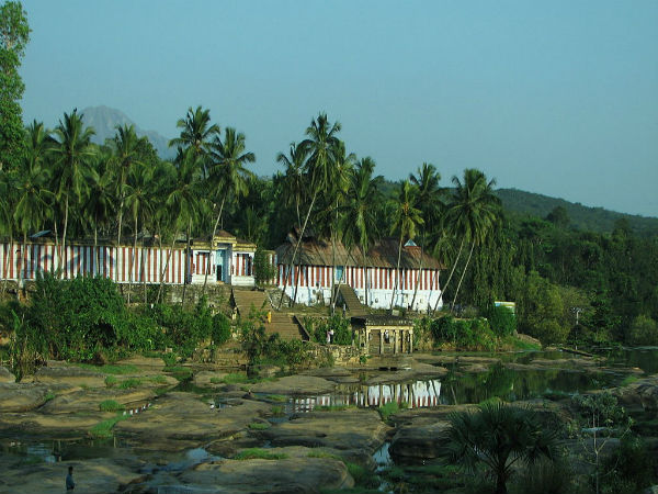 ದೊಡ್ಡ ಈಜು ಕೊಳ