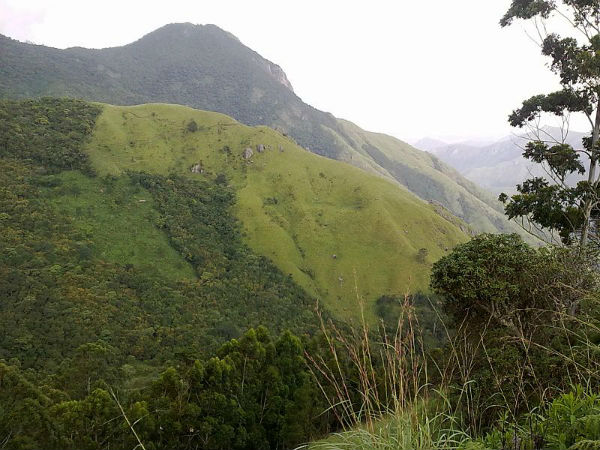 ಅಳಿವಿನಂಚಿನಲ್ಲಿರುವ ಸಸ್ಯಗಳನ್ನೂ ನೋಡಬಹುದು