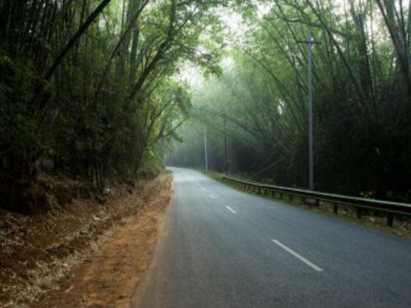 ತುರಾಹಲ್ಲಿ ಅರಣ್ಯ ಪ್ರದೇಶ