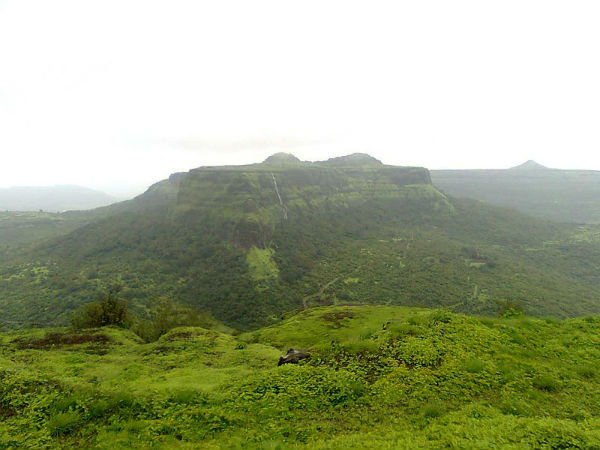 ಪ್ರಕೃತಿ ಸೌಂದರ್ಯ