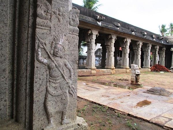 13.ಸೂರ್ಯ ಭಗವಾನನ ಕಿರಣಗಳು