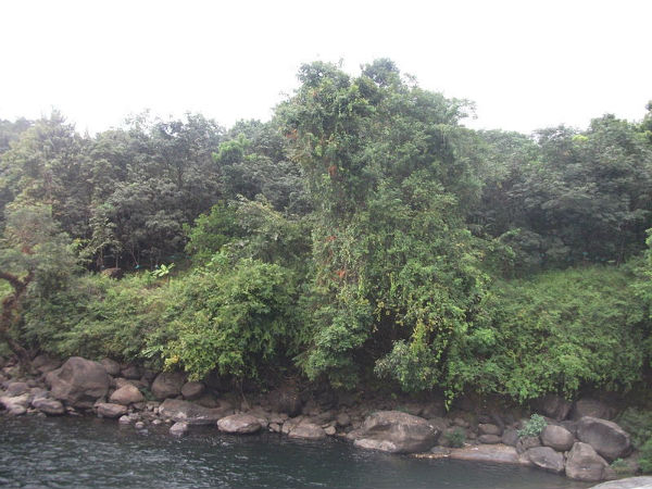 ಅಣ್ಣಕ್ಕೊಂಪಾಯಿಲ್ಗೆ ಯಾಕೆ ಭೇಟಿ ನೀಡಬೇಕು?