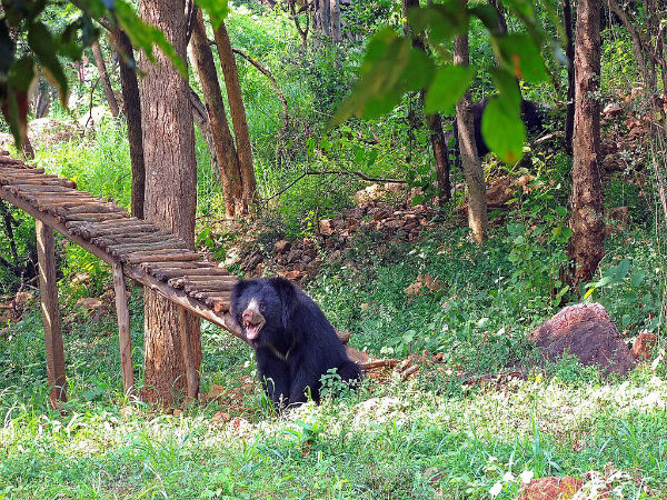 4. ನಕ್ಕಪಲ್ಲಿ