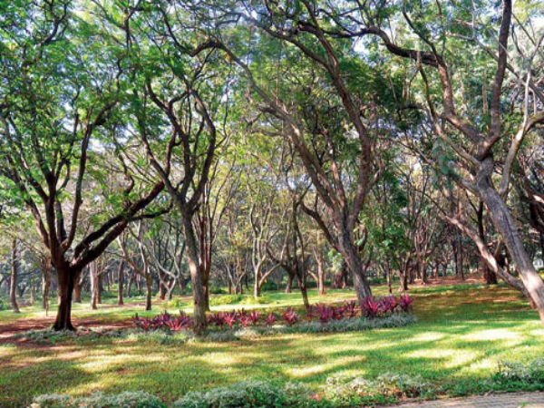 ಕಬ್ಬನ್ ಪಾರ್ಕ್