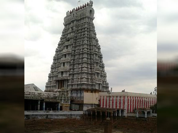ಹೆರಿಗೆ ನೋವಿನಿಂದ ಬಳಲುತ್ತಿ ಮಹಿಳೆ