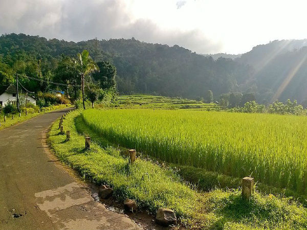 ಮಂಡಲ್ಪತ್ತಿ