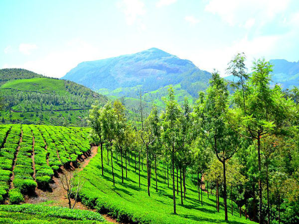 ಆನೆ ಸವಾರಿ