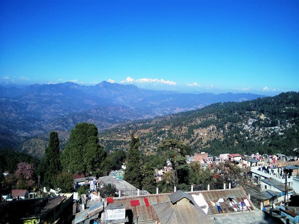 ಚೌಬಟಿಯ ಗಾರ್ಡನ್ಸ್