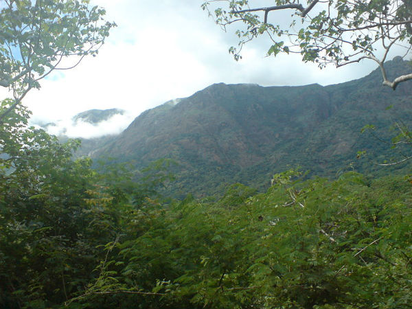 ಸಂಜೀವಿ ಬೆಟ್ಟ