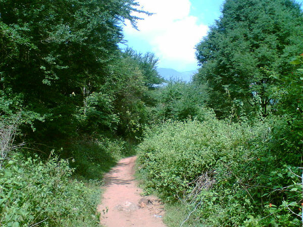 ಯಾಕೆ ಅಲ್ಲಿಗೆ ಹೋಗಲು ಜನರು ಭಯಪಡುತ್ತಾರೆ