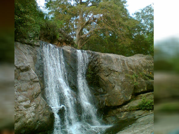 ಯಾವಾಗ ಭೇಟಿ ನೀಡಬೇಕು?