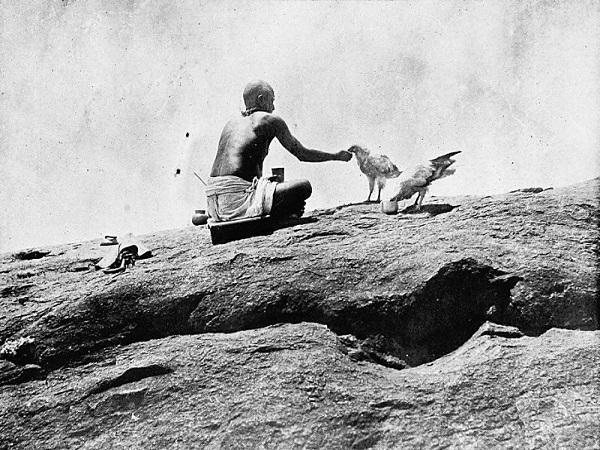 ಆ ಪಕ್ಷಿಗಳು